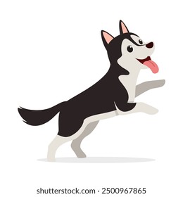 happy cute siberian husky dog with good quality and design