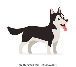 happy cute siberian husky dog with good quality and design