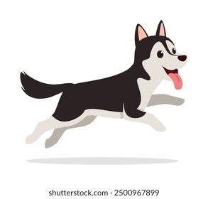 happy cute siberian husky dog with good quality and design