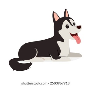 happy cute siberian husky dog with good quality and design