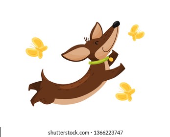 Happy dachshund with butterflies on white background.