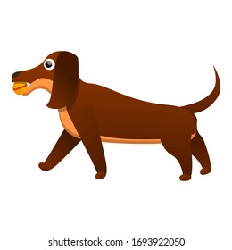 Happy dachshund icon. Cartoon of happy dachshund vector icon for web design isolated on white background