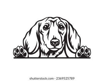 Happy Dachshund peeking dog. Dachshund portrait. Black and white vector illustration.