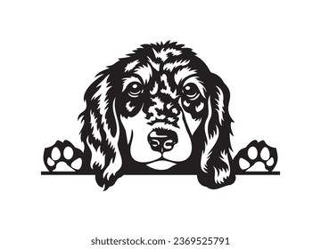 Happy Dachshund peeking dog. Dachshund portrait. Black and white vector illustration.