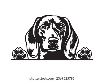 Happy Dachshund peeking dog. Dachshund portrait. Black and white vector illustration.