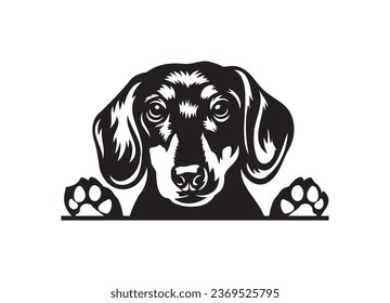 Happy Dachshund peeking dog. Dachshund portrait. Black and white vector illustration.