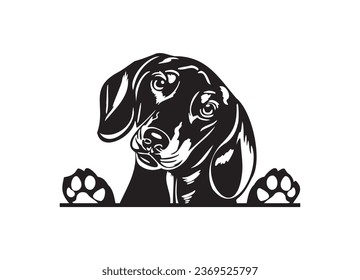 Happy Dachshund peeking dog. Dachshund portrait. Black and white vector illustration.