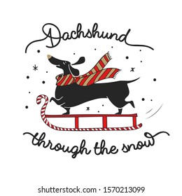 Happy dachshund sliding through snow poster vector illustration. Picture of smiling x-mas dog enjoying winter holidays in cozy and warm clothes flat style design. New year concept