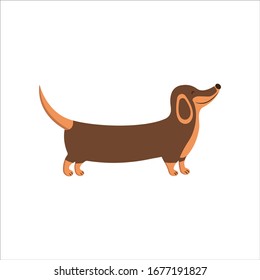 Happy dachshund walks and smiles. National Puppy Day. Lovely animal, people best friend, favorite pet. National Dog Day. Colorful illustration cartoon style vector