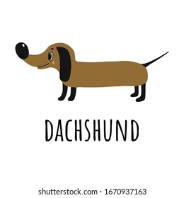 happy Dachshund.hand-drawn illustration.dog and the name of the breed in the Doodle style.isolated on a white background. the funny character is suitable for t-shirt, websites,Cup,poster,postcard.