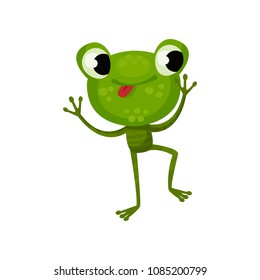 Happy dancing frog with tongue out. Green reptile with shiny eyes, big head and long legs. Flat vector design for children book