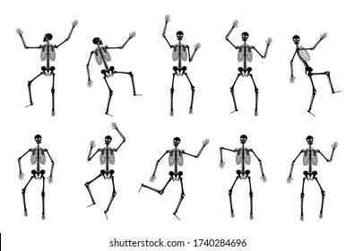 Happy dancing skeletons on Halloween. Set of different dance and gymnastics skeleton poses. Vector flat cartoon illustration isolated on white background. Great for spooky fun party themed designs.
