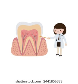 Happy Dentist with Tooth character Cute cartoon flat style vector illustration on white background