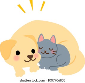 Happy dog and cat
