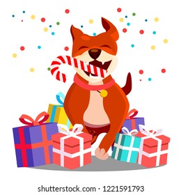 Happy Dog With Christmas Candy In Teeth Among Scattered Gifts Vector. Isolated Illustration
