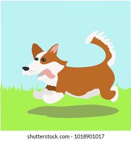 Happy dog corgi