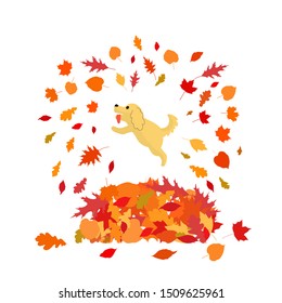 Happy dog is jumping to big heap of autumn leaves. Isolated on white background. Stock vector illustration.