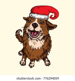 Happy dog in red Santa`s hat, top view, hand drawn doodle sketch, isolated vector color illustration