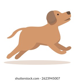 Happy dog running in the air, enjoying a playful moment