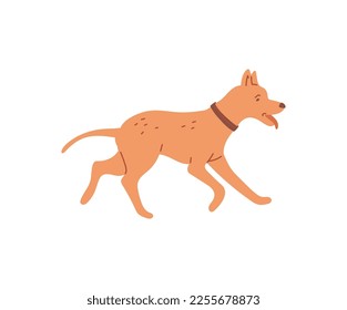 Happy dog running, cartoon flat vector illustration isolated on white background. Dog walking wearing collar. Concepts of pets and companion animals.