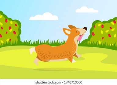 Happy dog runs on the green grass in the garden. Random breed dog runs for a walk sticking his tongue out. Animal walk. Flowering bushes and lawn. Rosebush. Happy pastime. Clear sky. Flat illustration