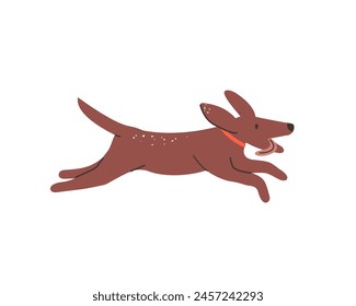 Happy dog runs side view. Adorable doggy with collar rush. Cute puppy shows tongue on the go. Friendly pup has fun. Pet, domestic animal plays. Flat isolated vector illustration on white background