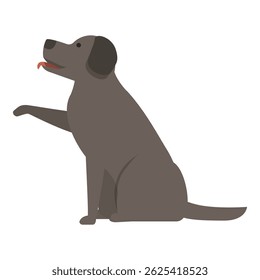Happy dog sitting and giving paw, domestic animal pet