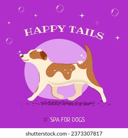 The happy dog is soapy, trimmed, clean and with soap bubbles. It can be used on websites, posters, posts, etc.