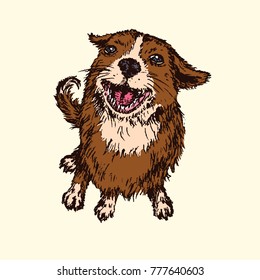 Happy dog, top view, hand drawn doodle sketch, isolated vector color illustration