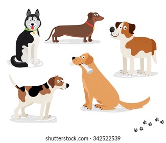 Happy dog vector characters on white background. Dogs standing and sitting, holding newspaper. 