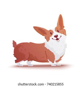 Happy dog Welsh Corgi. The style flat. The dog is a symbol of 2018