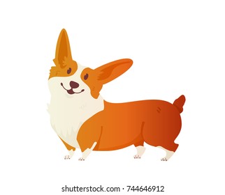 Happy dog Welsh Corgi. The style flat. The dog is a symbol of 2018