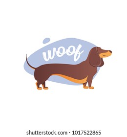 Happy dog. Woof. he style flat. Cartoon Dachshund is a simple illustration. 