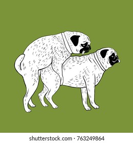 
Happy dog year