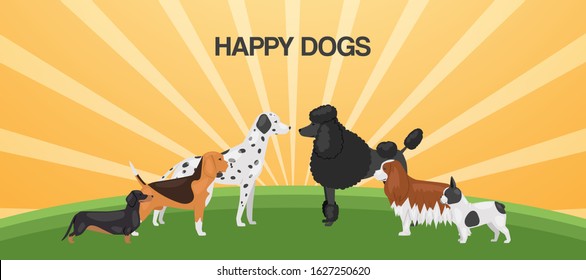 Happy dogs different breeds baner vector illustration. Big size dogs and home pets. Happy dogs, dalmatian, bulldog, beagle and poodel for pets shop or dogs food advertisement, sunny background.