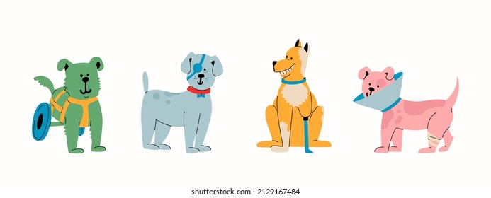 Happy dogs with disabilities. Animals with prosthetic legs, eye patch, protective E-collar or the cone. Concept of veterinary medicine, operating and prosthetics of domestic animals. 