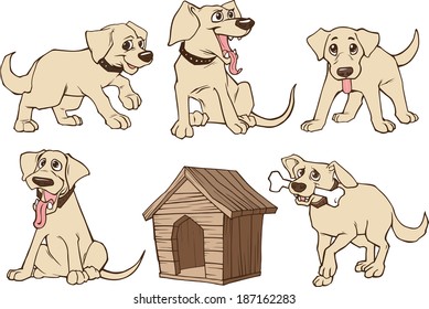 Happy dogs set