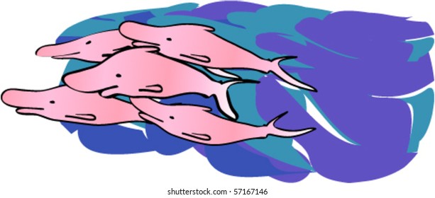Happy dolphins