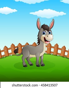 Happy donkey cartoon on the field
