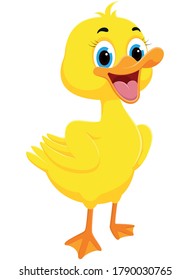 Happy Duck cartoon, isolated on white background