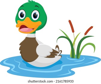 Happy duck cartoon, isolated on white background