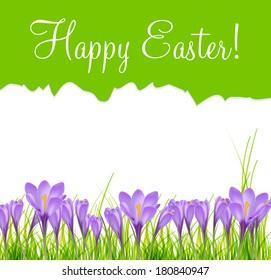 Happy Easter Card with Crocuses Vector Illustration 