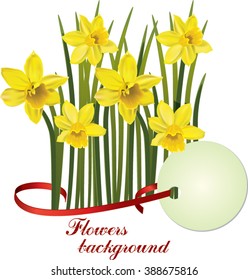 Happy easter cards illustration with flowers narcissus background. Yellow daffodil