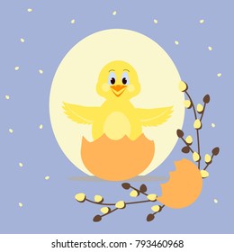 Happy easter cartoon greeting card. Cute chicken in egg shell with willow twigs.