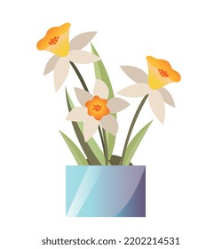 Happy Easter concept. Sticker with beautiful daffodils, flowers or blooming plants in pot. Design element for invitation or postcard. Cartoon realistic vector illustration isolated on white background