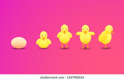 happy a easter day. chicken new born step from eggs to big cock hen. vector illustration eps10
