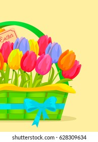 Happy easter festive concept. Different colors tulips in green wicker basket bonded blue ribbon flat vector. Scented spring flowers