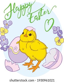 Happy Easter Greeting Card Design. Yellow Baby Chick and Hatched Colored Eggs.