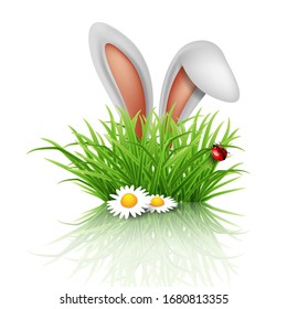  Feliz tarjeta de felicitación de Pascua. Orejas de conejo espiando de hierba con margaritas.