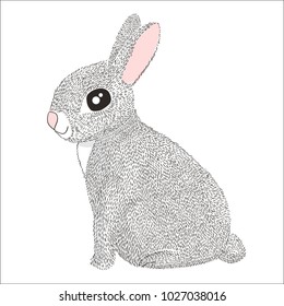 Jackrabbit Stock Vectors, Images & Vector Art | Shutterstock